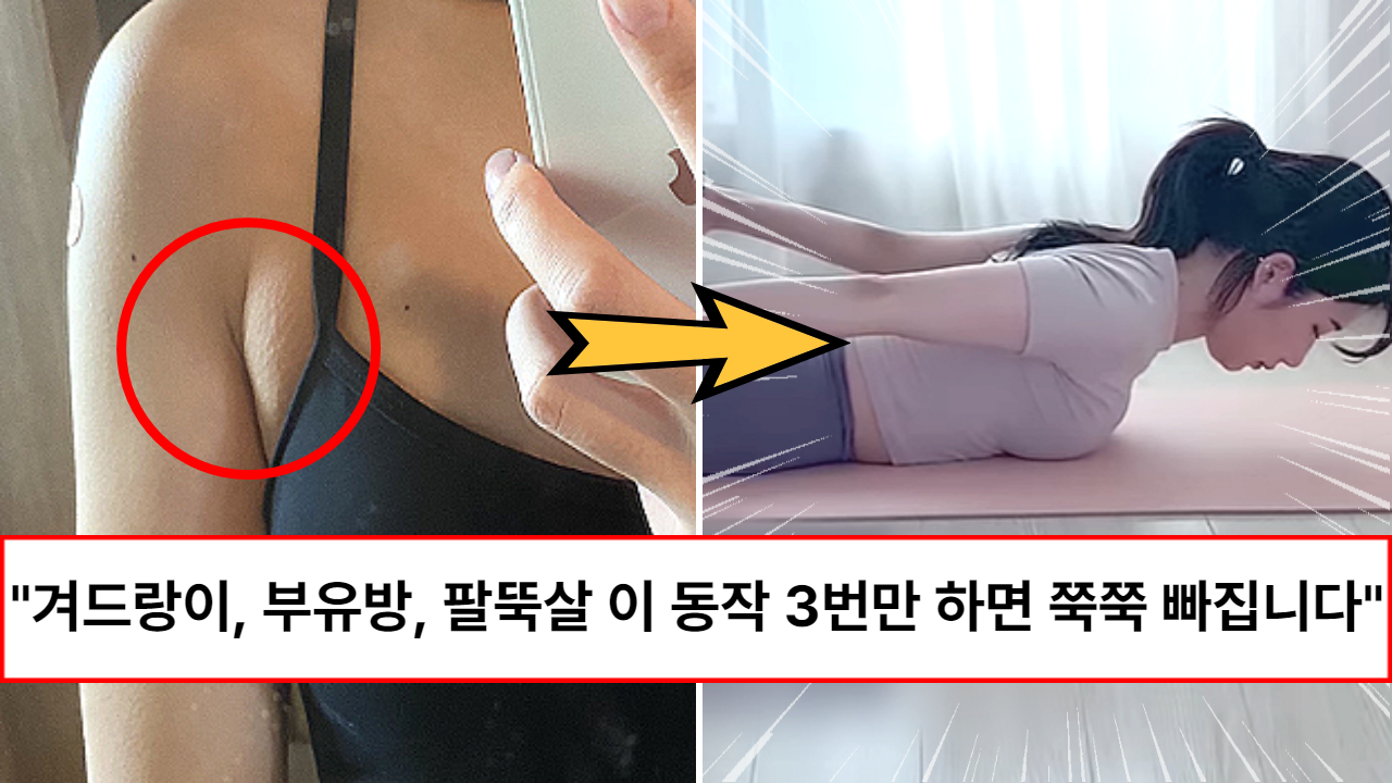 “자신있게 민소매 입으세요” 탄력없이 덜렁거리는 팔뚝살, 부유방 3번만에 슬림탄탄하게 만드는 대박 운동법 “자신있게 민소매 입으세요” 탄력없이 덜렁거리는 팔뚝살, 부유방 3번만에 슬림탄탄하게 만드는 대박 운동법