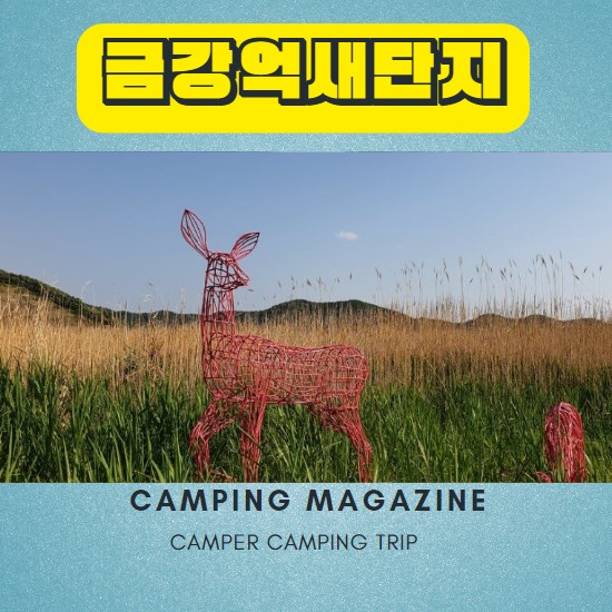  공주 세종 대전 차박지 금강억새단지 노지 캠핑 차박