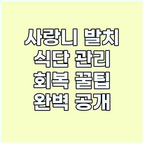 사랑니 발치 후 식단별 관리법 완벽