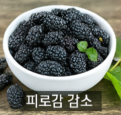 오디 효능