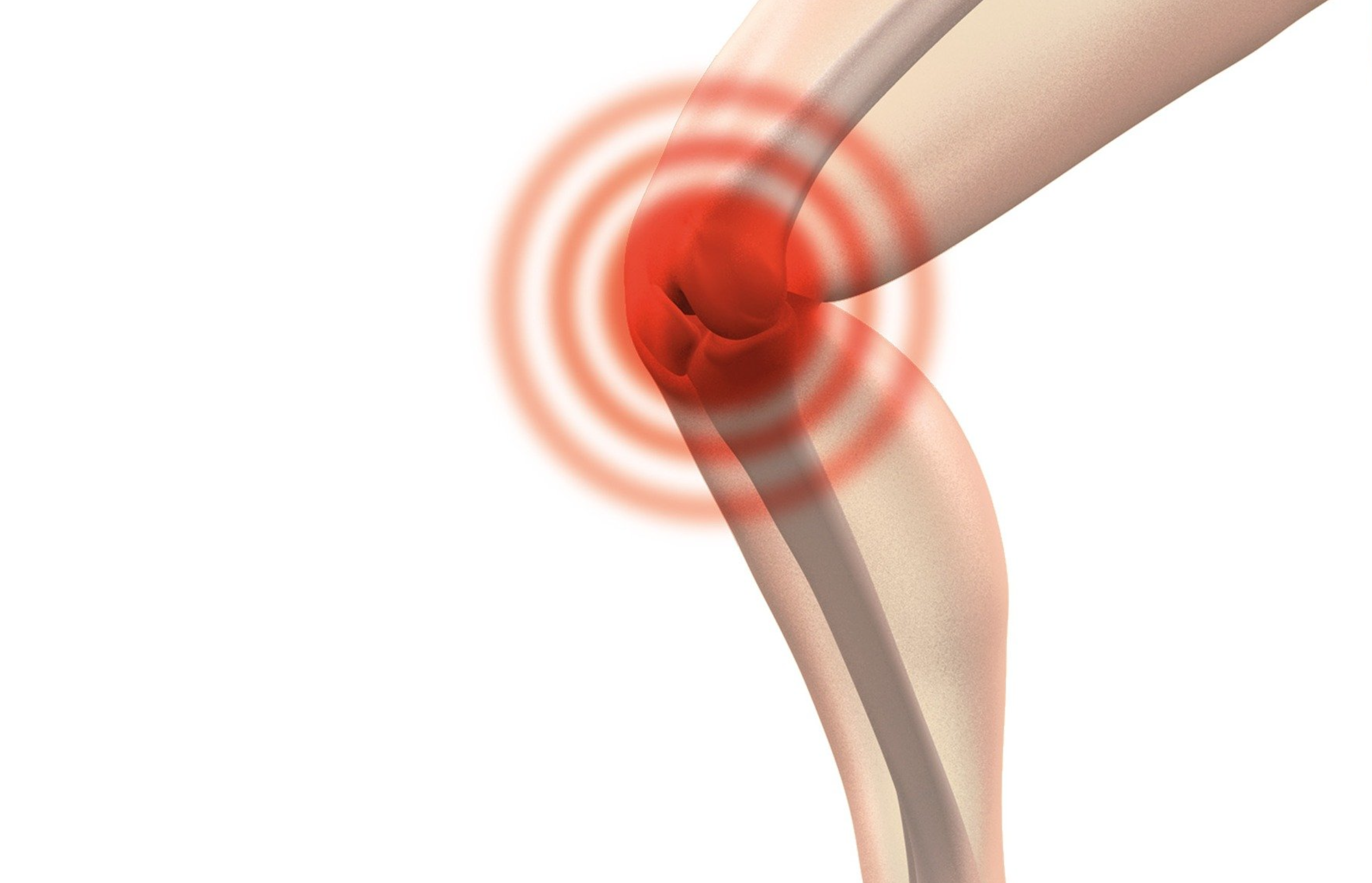 관절 건강에 좋은 콘드로이친이란? 콘드로이친(Chondroitin)은 그리스어로 연골을 뜻하며&#44; 연골 필수 구성요소이자 연골을 형성하고 유지하는 중요한 역할을 한다. 콘드로이친이 풍부한 음식은 상어 연골&#44; 해초&#44; 참마&#44; 장어&#44; 달팽이&#44; 낫토 등이 있다. 다만 식품 자체로 충분한 양을 섭취하기 어려워 영양제 형태로 복용하는 게 일반적이다.