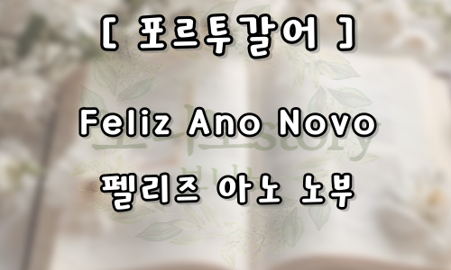 세계-새해-인사-모음-사진