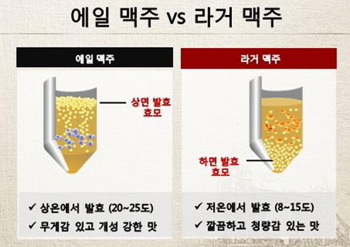 맥주발효방식