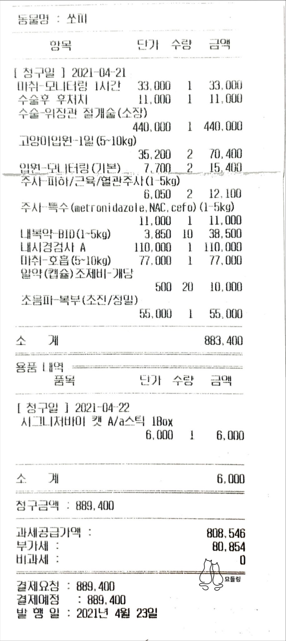 이물질 먹은 고양이 // 구토 유발과 개복 수술 비용 :: Feat. 이식증