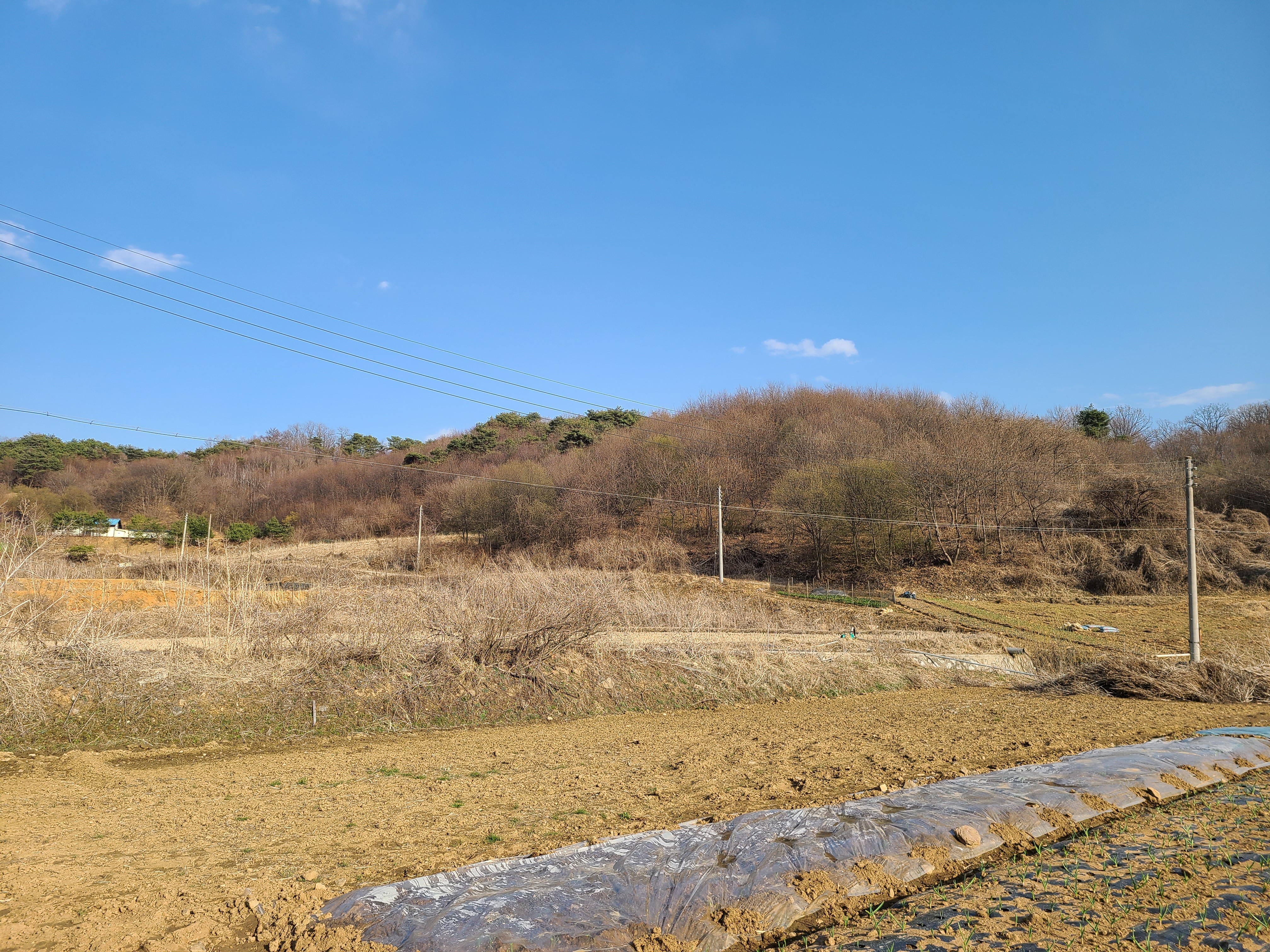  공익직불금 신청자격과 신청기간, 신청 방법까지