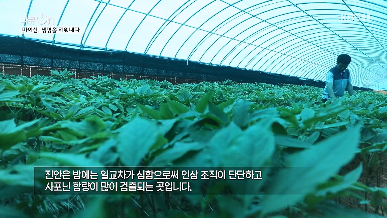 다큐 온.E215.230917p-NEXT.mp4_20230922_213552.362.jpg