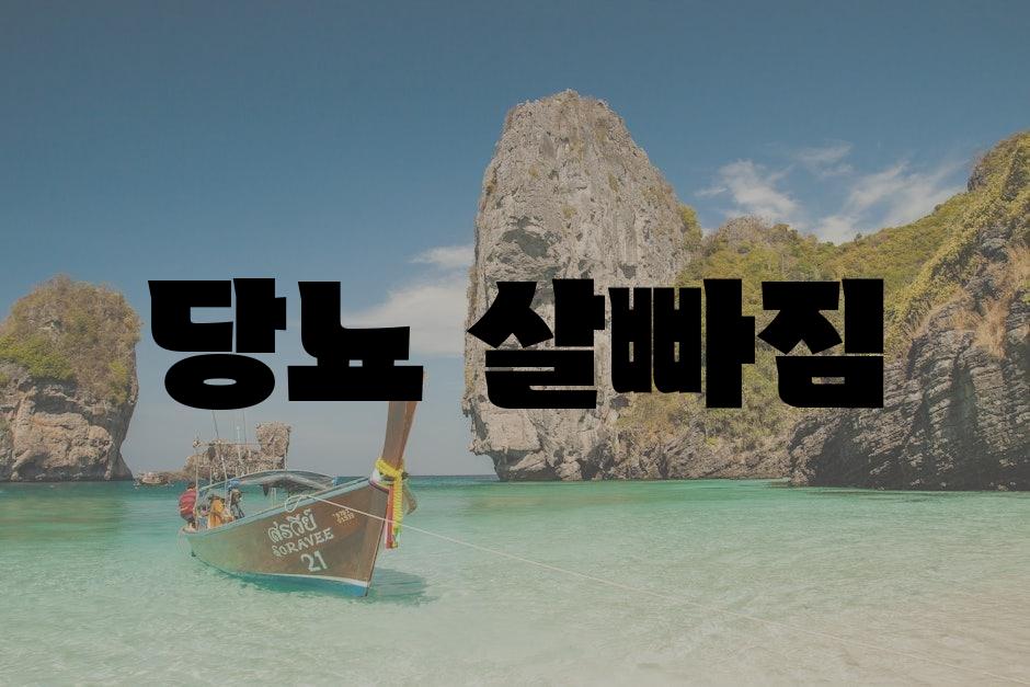샘플 (80)