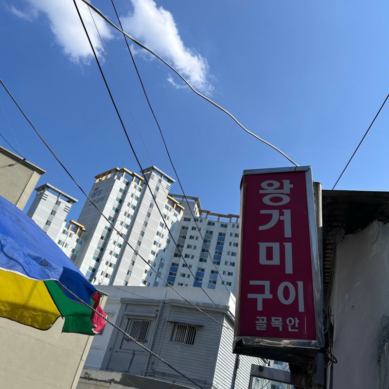 왕거미 이미지