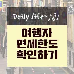  여행자 면세한도 800달러로 인상