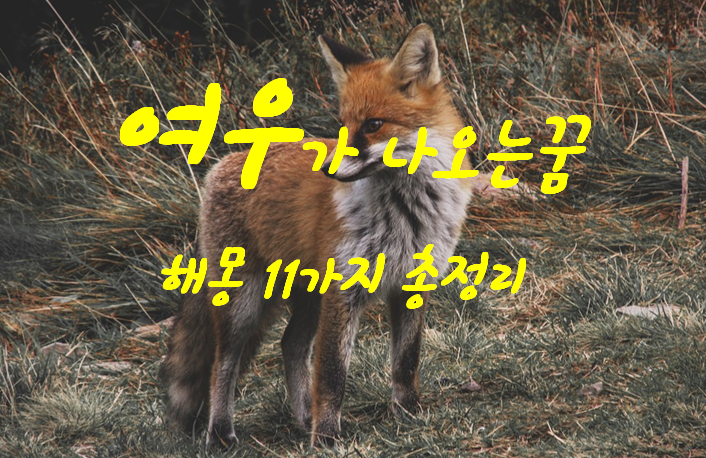  여우꿈 해몽 11가지 총정리