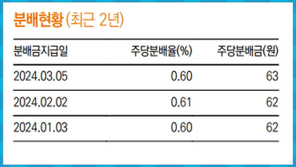 TIGER 배당프리미엄액티브 분배금 지급 내역