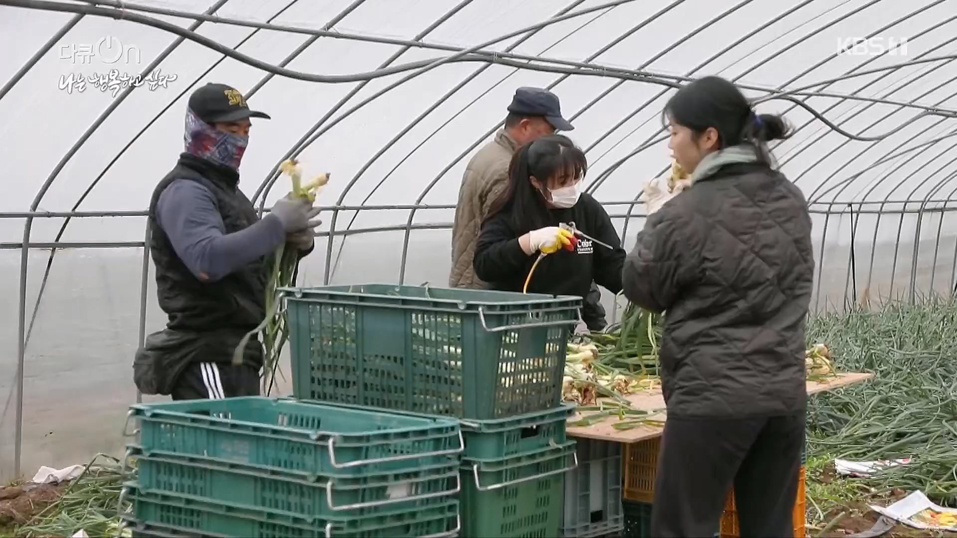 다큐 On.E180.230106p.H264-F1RST.mp4_20230110_200445.321.jpg