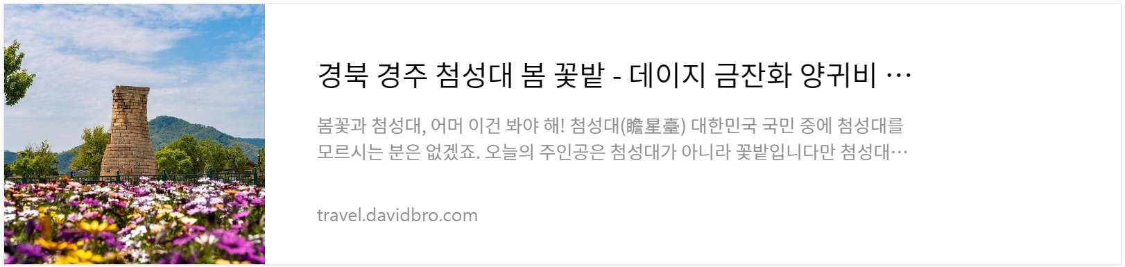경북 경주 분황사 - 모전석탑 청보리 양귀비 - 함께 보기 좋은 글 경주 첨성대