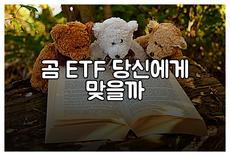 곰 ETF 당신에게 맞을까