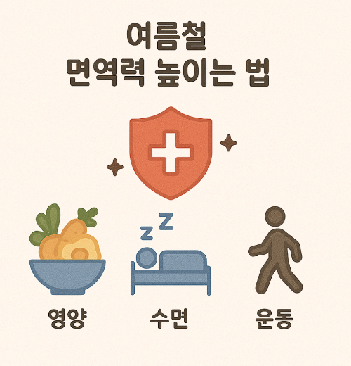 여름철 면역력 높이는 법 (영양, 수면, 운동)
