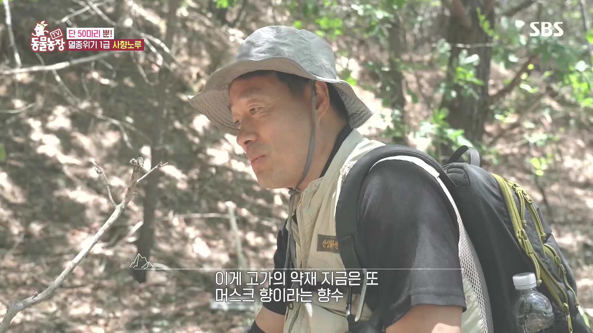 TV 동물농장.E1185.240818p.H264-F1RST.mp4_20240818_161000.867.jpg