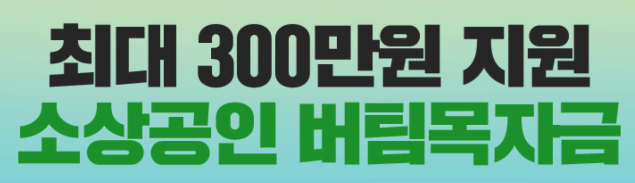  소상공인 버팀목자금 과 버팀목자금 플러스