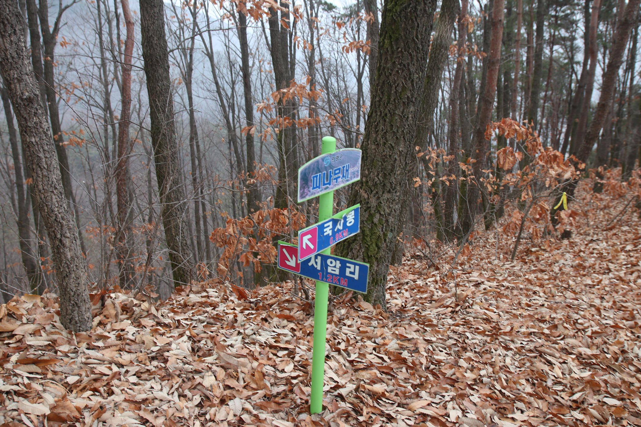 경남 의령군 국사봉 05 38