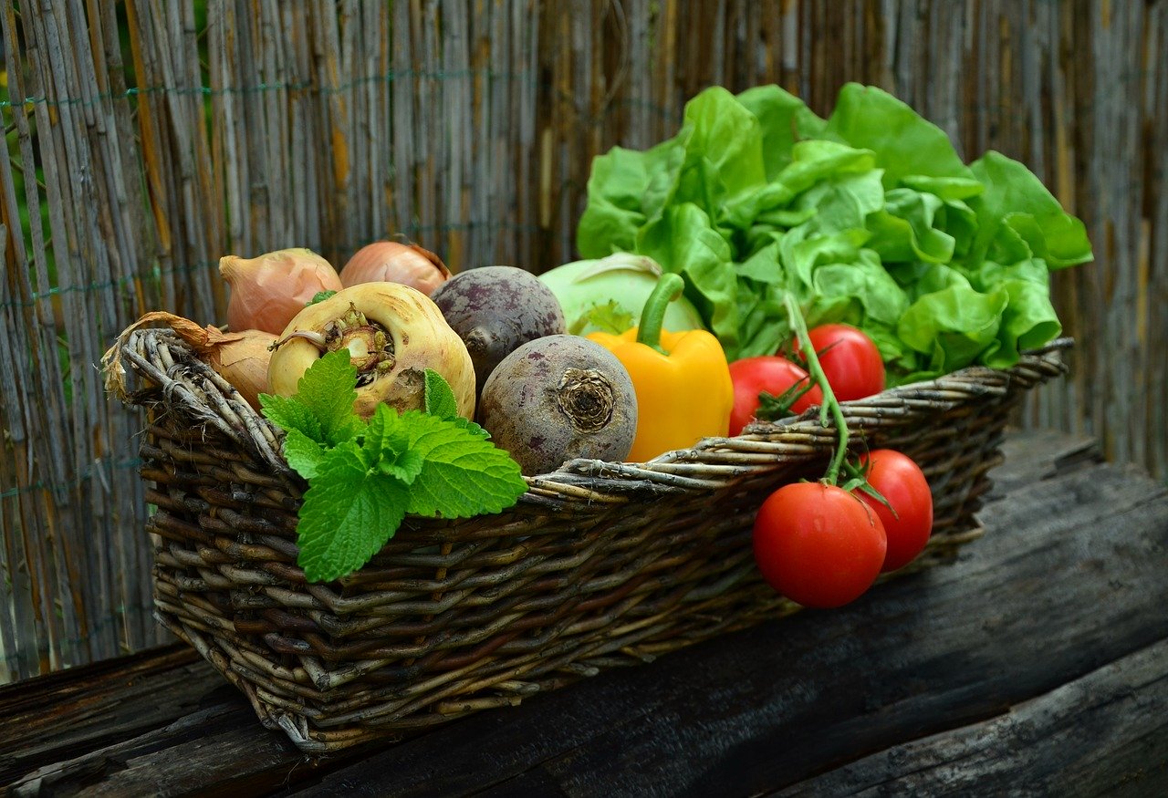 채소와 야채는 어떻게 구분하는걸까? 야채의 효능까지!