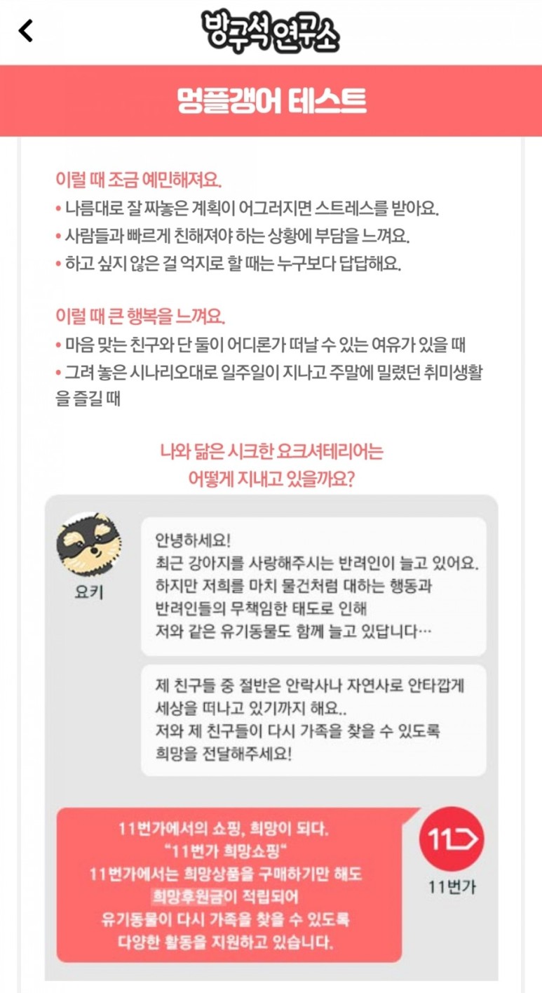 - 내가 강아지라면 (유기동물 11번가 주소 바로가기) [테스트] 방구석 연구소 테스트 1