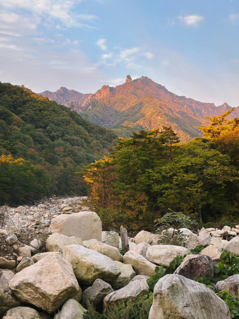 지리산 이미지