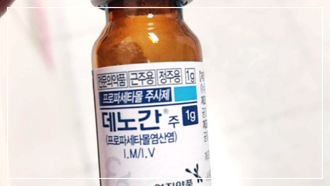  데노간주 성분 효능 및 부작용 해열 진통 주사제 사용방법 가격