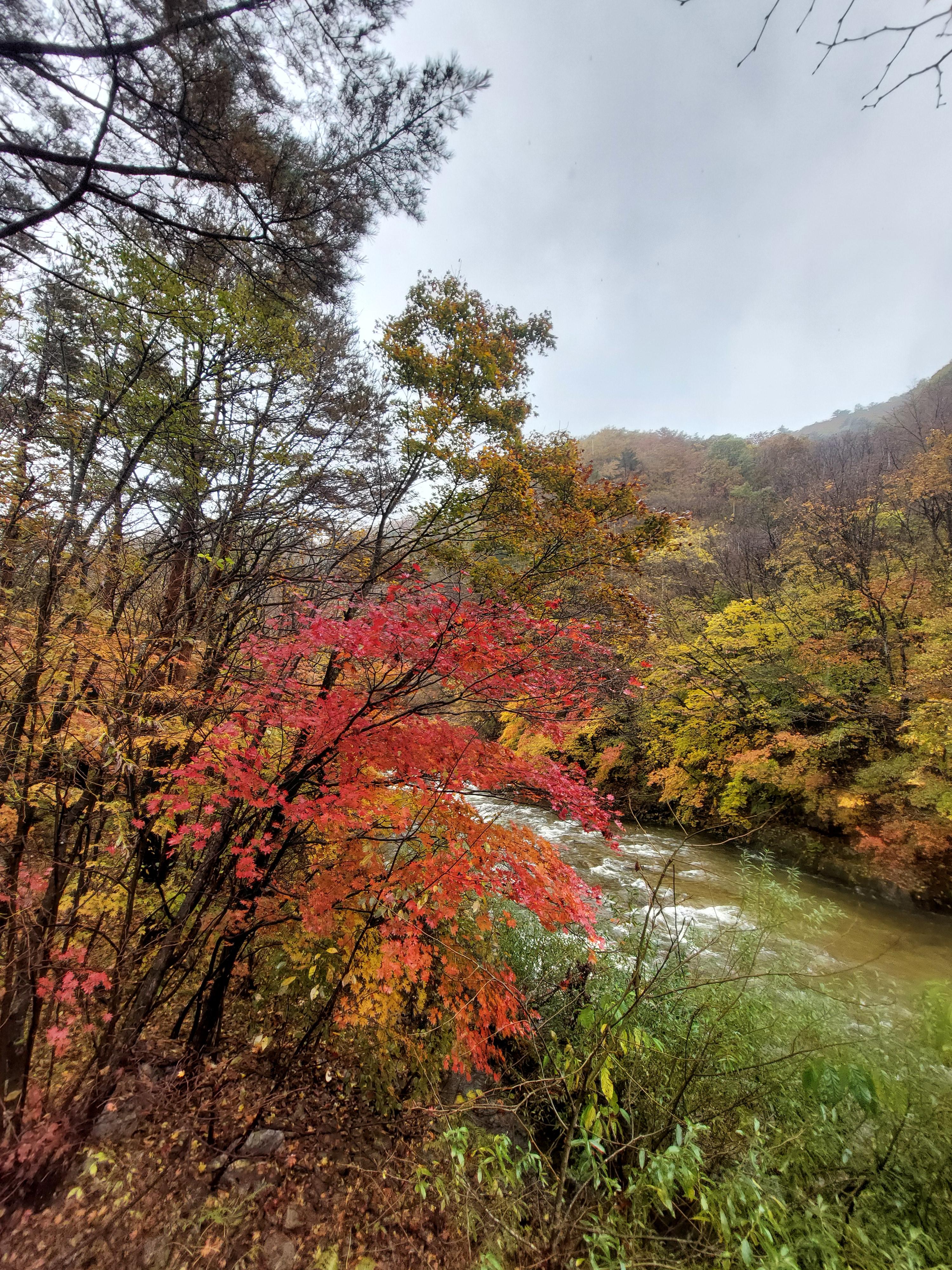 선재길