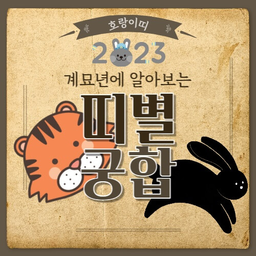  범띠 궁합 잘맞는 띠, 안맞는 띠