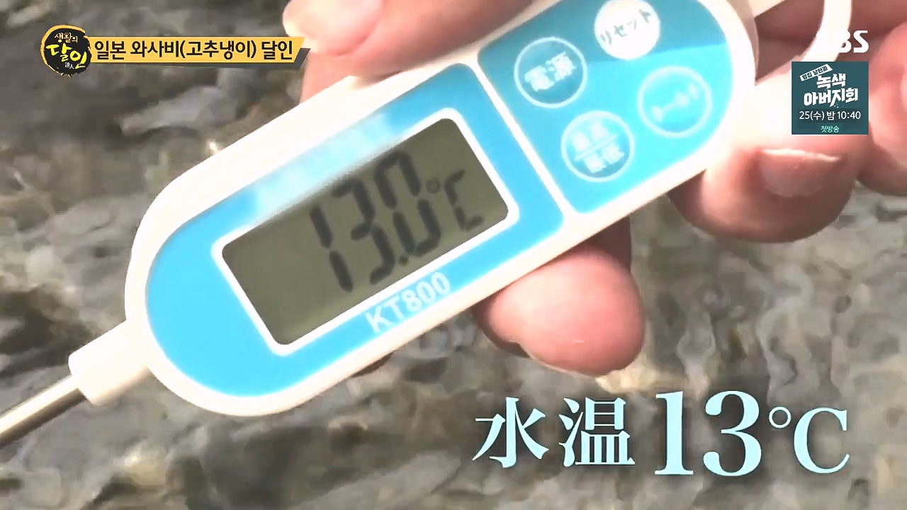 생활의 달인.E908.231017p-NEXT.mp4_20231017_200359.222.jpg