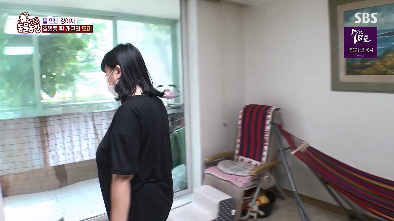 TV 동물농장.E1137.230911p-NEXT.mp4_20230910_183201.399.jpg