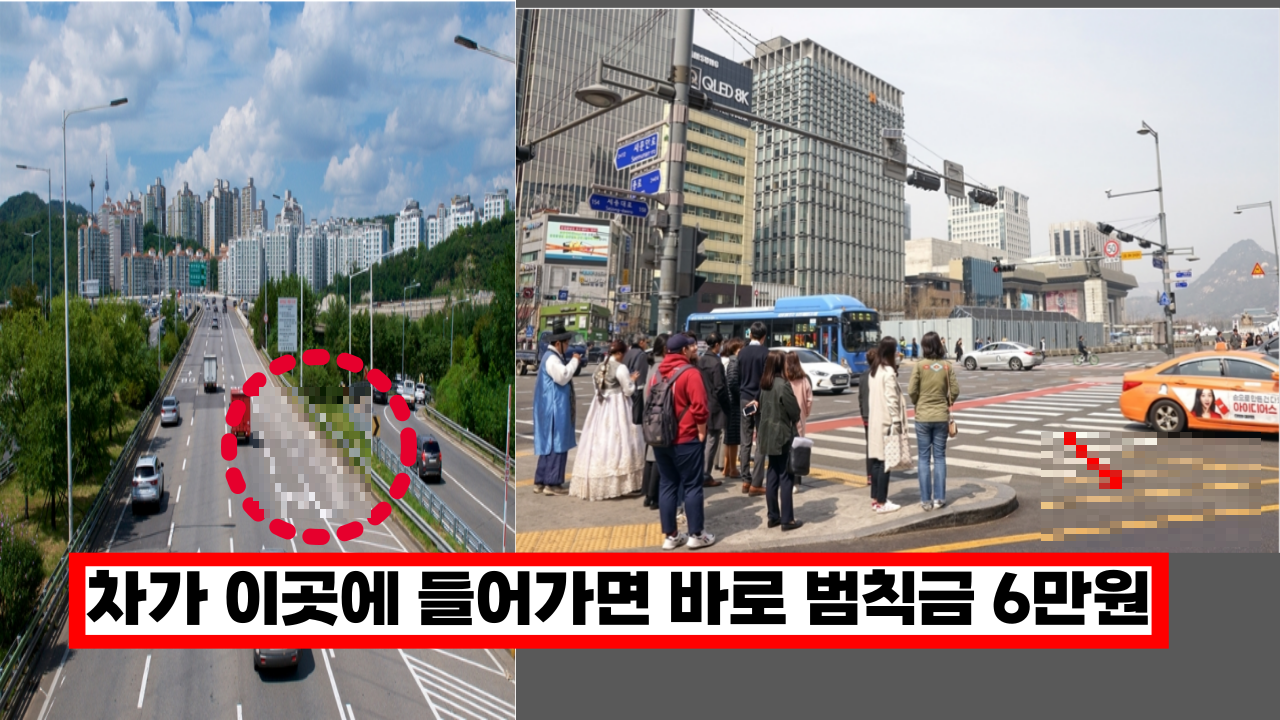  '도로위 안전지대라 불리우는 이곳' 차가 들어가면 바로 범칙금 6만원 부과돼요.