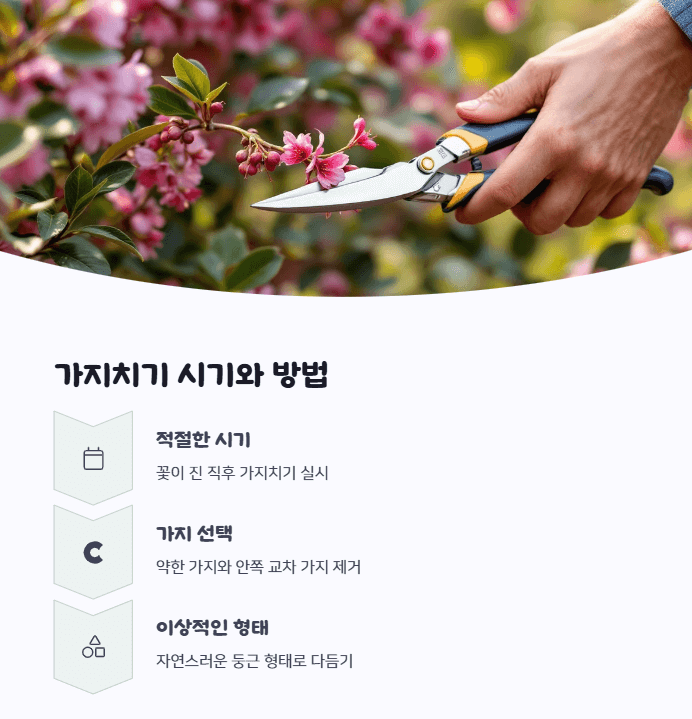 병꽃나무 가지치기