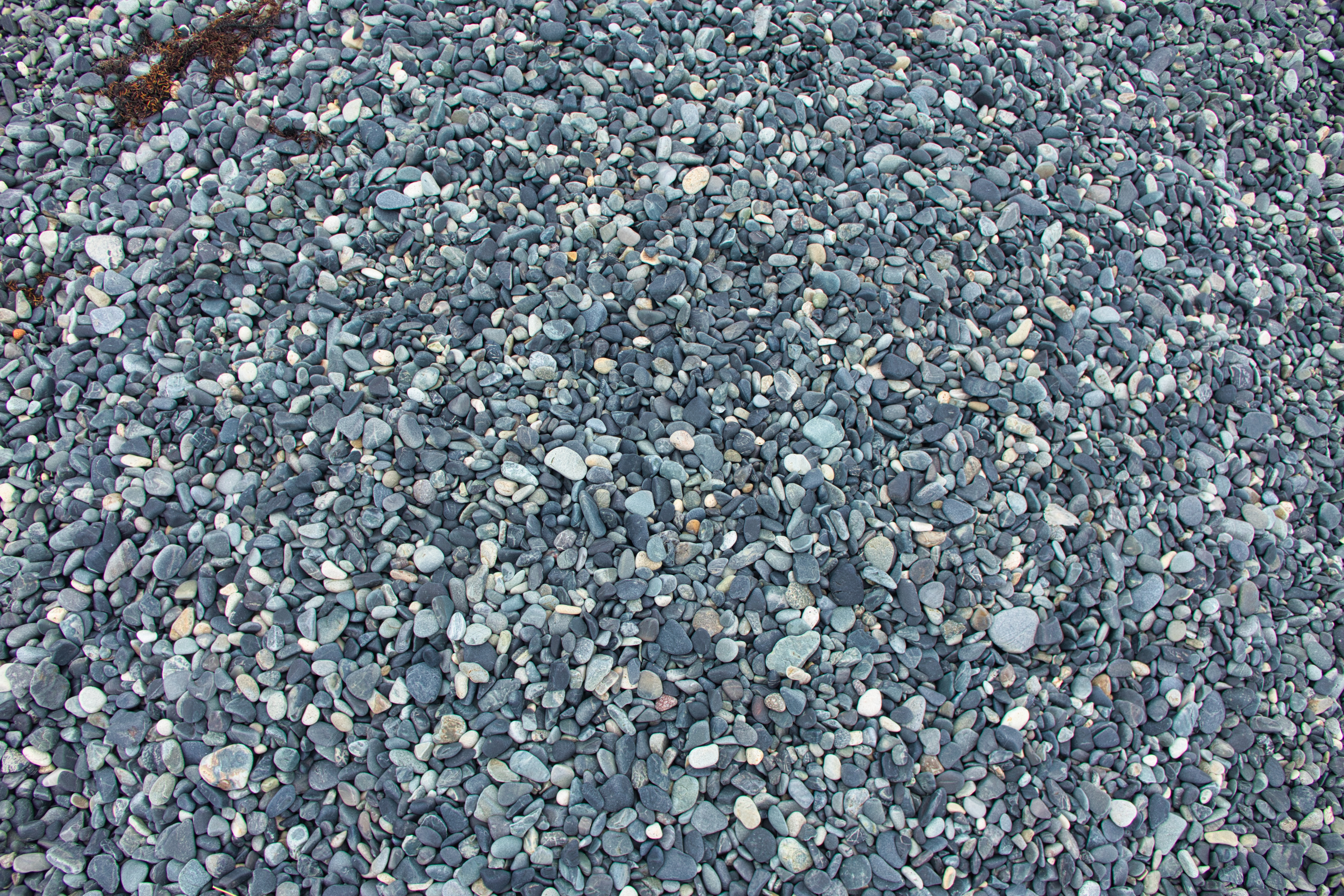 img.jpg