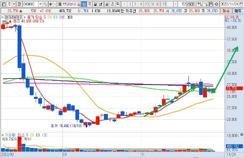 11월 24일 현대바이오 일봉 차트