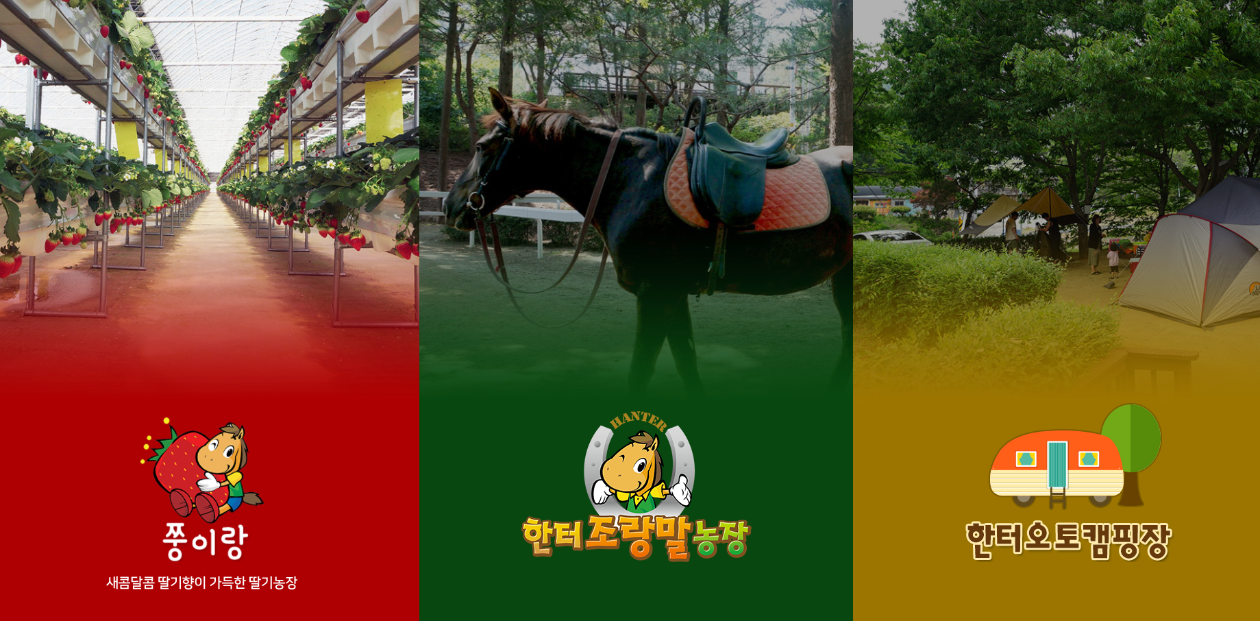 달구지농원 이미지