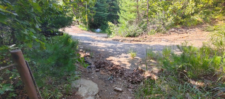 제진검문소 - 통일전망대 출입신고소 해파랑길 50코스 : 10