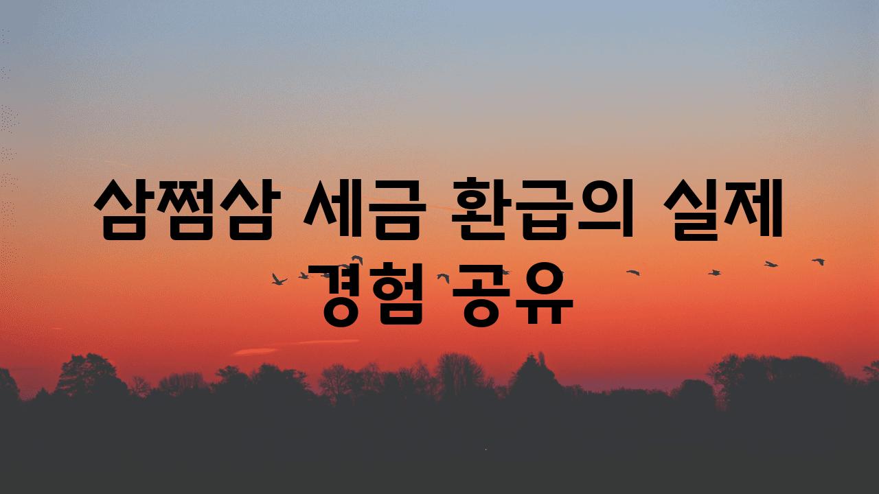 삼쩜삼 세금 환급의 실제 경험 공유