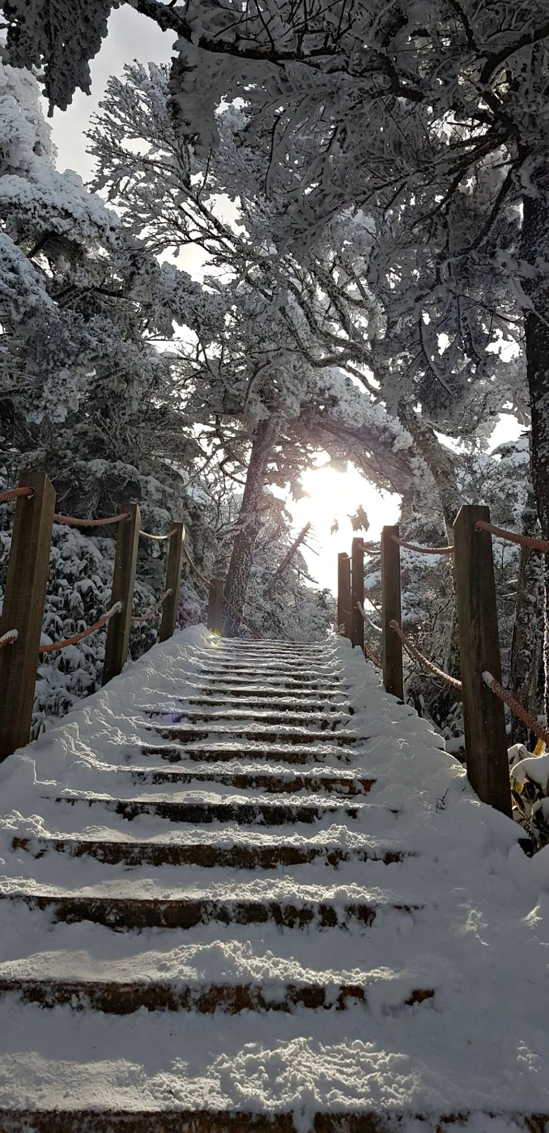 제주 한라산 설경 겨울왕국