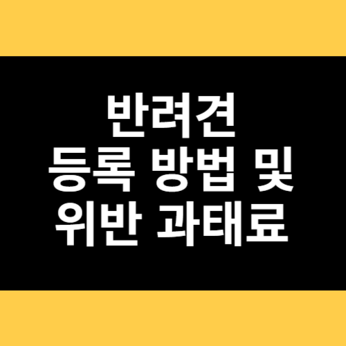 반려견 등록 방법 및 위반 과태료 썸네일