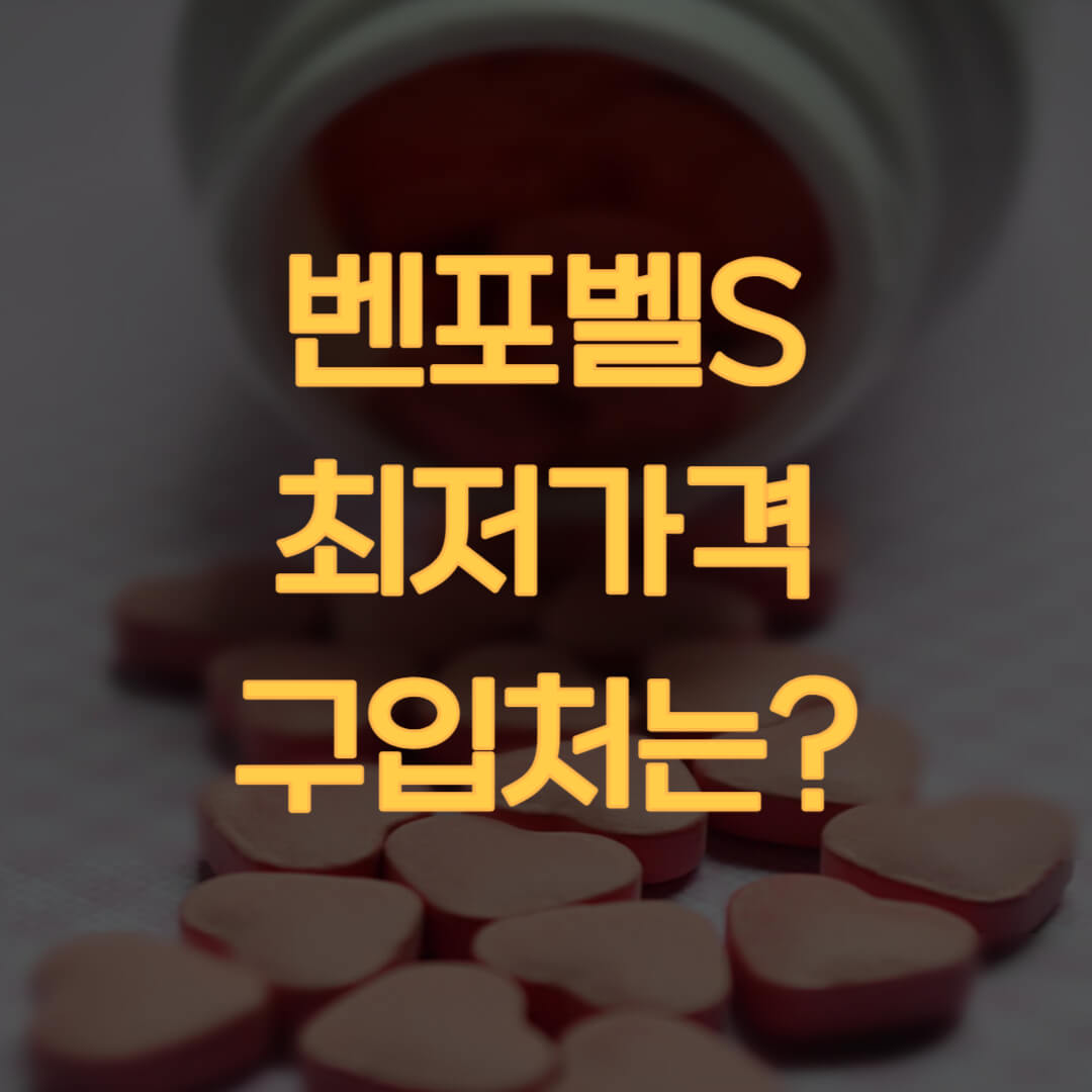  내 주변 벤포벨S 최저 가격 판매처 알아보기