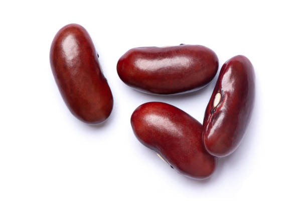 팥의 효능 10가지 알아보기 10