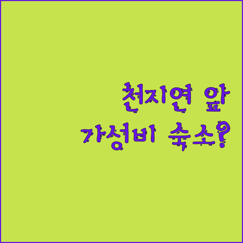 신신호텔 천지연, 천지연 폭포 앞 가