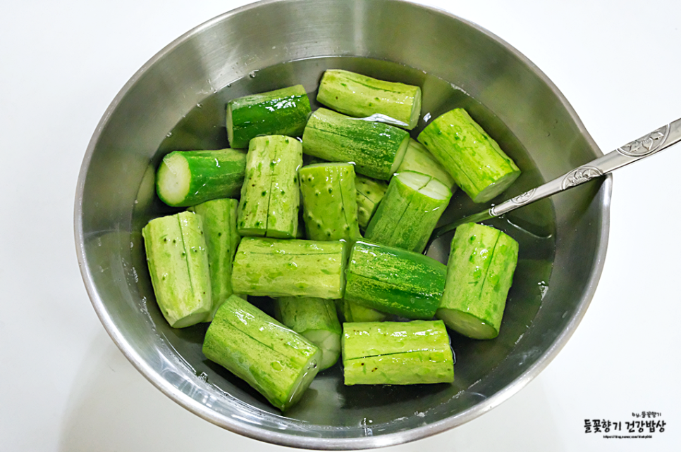 오이 김치 담그는 법 아삭아삭한 부추 오이 김치 담그는 법 16