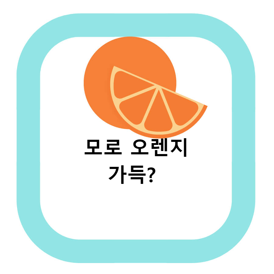  굴곡도감 모로 오렌지 효능 및 라인 관리에 필수