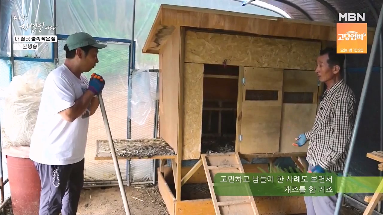 나는 자연인이다.E613.240711p-NEXT.mp4_20240711_195301.915.jpg