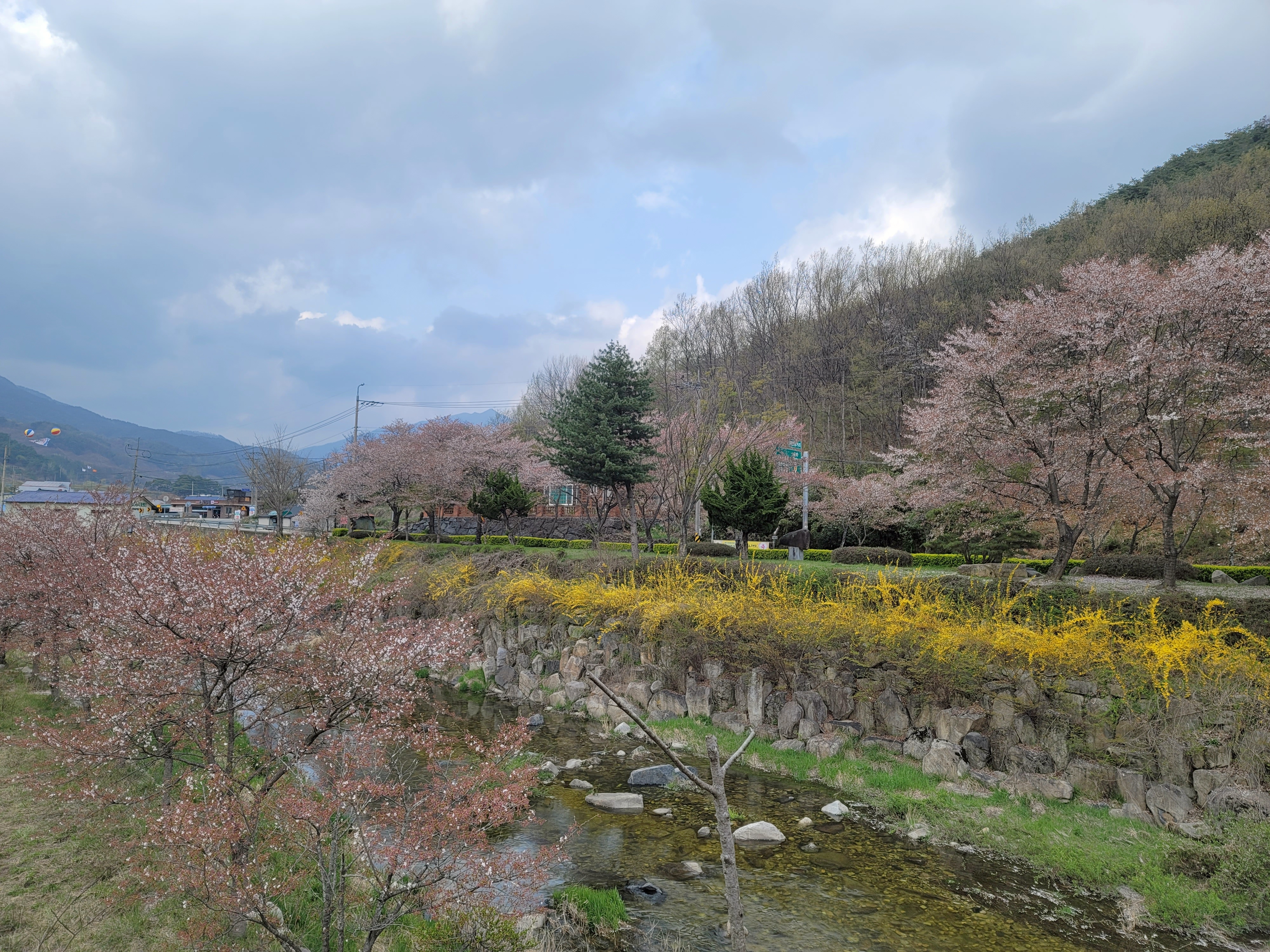 함양-백전공원의-주변-꽃-풍경