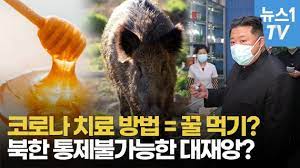  기침이 나면 꿀 먹어라".. 北, 코로나 치료에 민간요법 소개