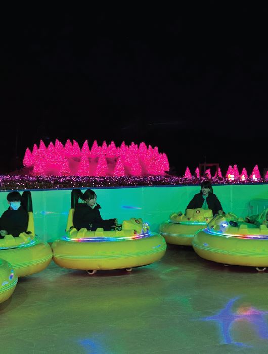 포천 허브아일랜드 불빛동화축제 여행 정보 (2024)