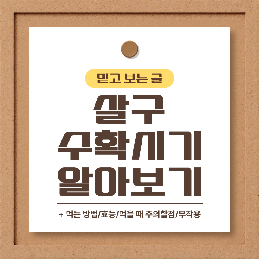  살구 수확시기 알아보기