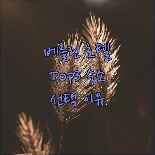 베를린 호텔 완벽 분석 여행객이 선택